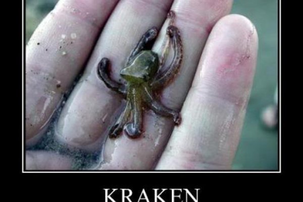 Kraken ссылка зеркало рабочее