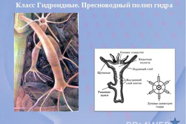 Не могу зайти в аккаунт кракен