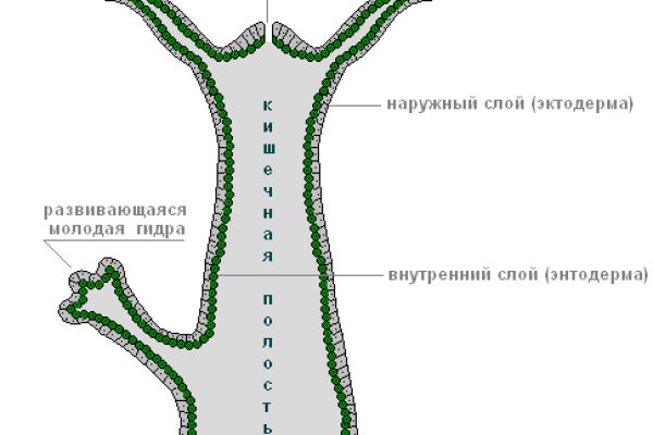 Кракен шоп что это